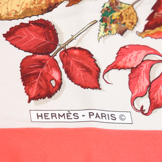 Hermes Paris Vintage Tourbillon Scarf by Christiane Vauzelles