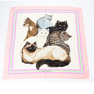 1985 Hermès Silk Cats Scarf Carré Les Chats By Daphne Duchesne Rare Hermes Scarves